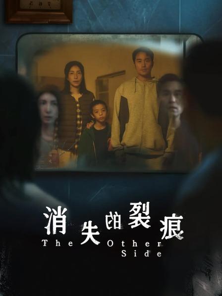 消失的裂痕海报